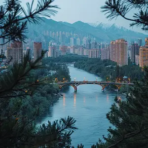 交往礼仪课程是什么内容