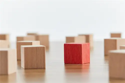 极致人生是什么课程